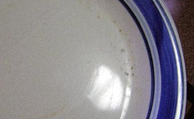 mould in kitchen 2